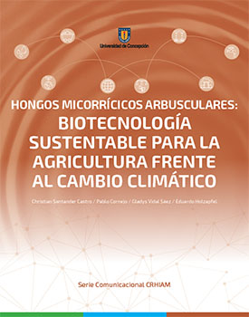 Serie Comunicacional CRHIAM: Hongos micorrícicos arbusculares: Biotecnología sustentable para la agricultura frente al cambio climático