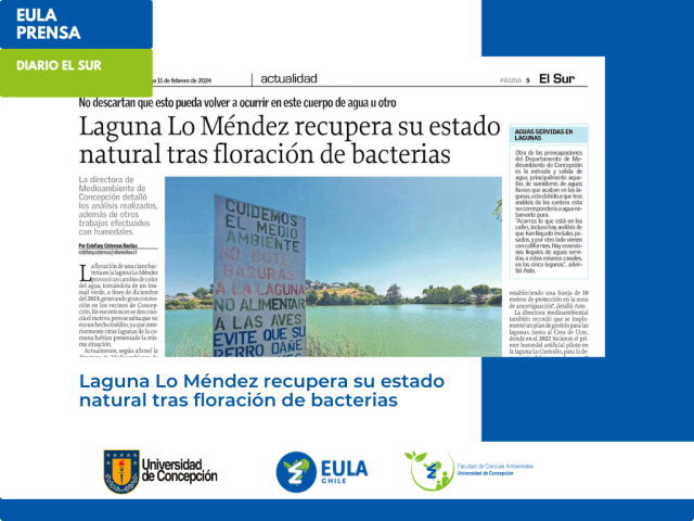 El Sur: Laguna Lo Méndez recupera su estado natural tras floración de bacterias