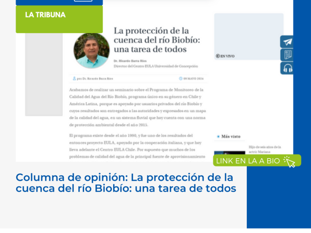 Columna de Opinión: La protección de la cuenca del río Biobío: una tarea de todos