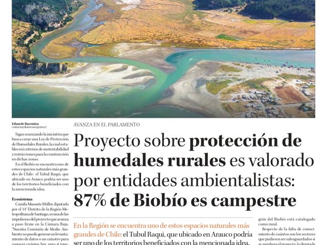 Proyecto sobre protección de humedales rurales es valorado por entidades ambientalistas: 87% de Biobío es campestre