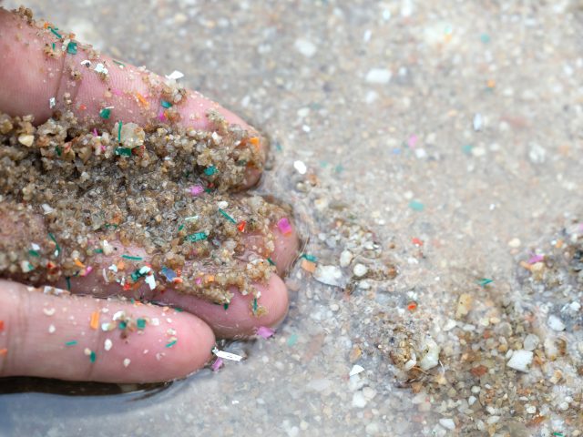 Encuentran contaminación por microplásticos en estuarios de Lenga y Tubul-Raqui en Biobío