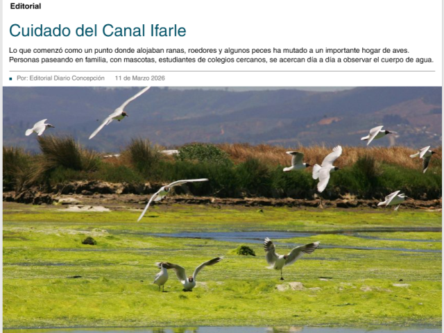 Cuidado del Canal Ifarle