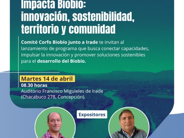 Lanzamiento de Viraliza Eventos «Impacta Biobío: innovación, sostenibilidad, territorio y comunidad»